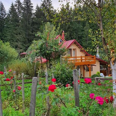 Forest Vibes Spa Cîmpu lui Neag Zewnętrze zdjęcie