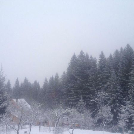 Forest Vibes Spa Cîmpu lui Neag Zewnętrze zdjęcie