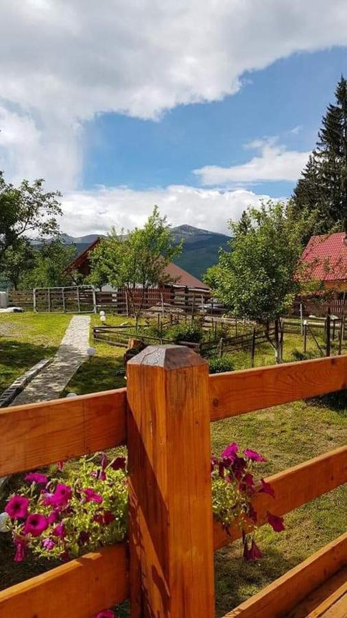Forest Vibes Spa Cîmpu lui Neag Zewnętrze zdjęcie