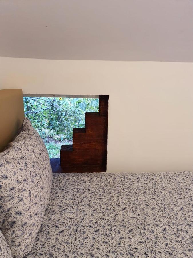 Forest Vibes Spa Cîmpu lui Neag Zewnętrze zdjęcie