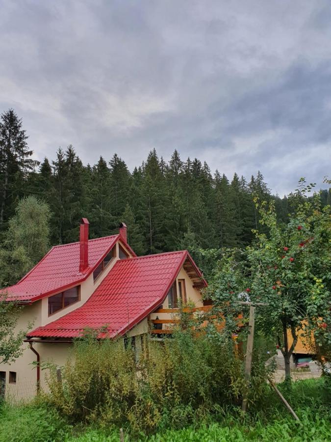 Forest Vibes Spa Cîmpu lui Neag Zewnętrze zdjęcie