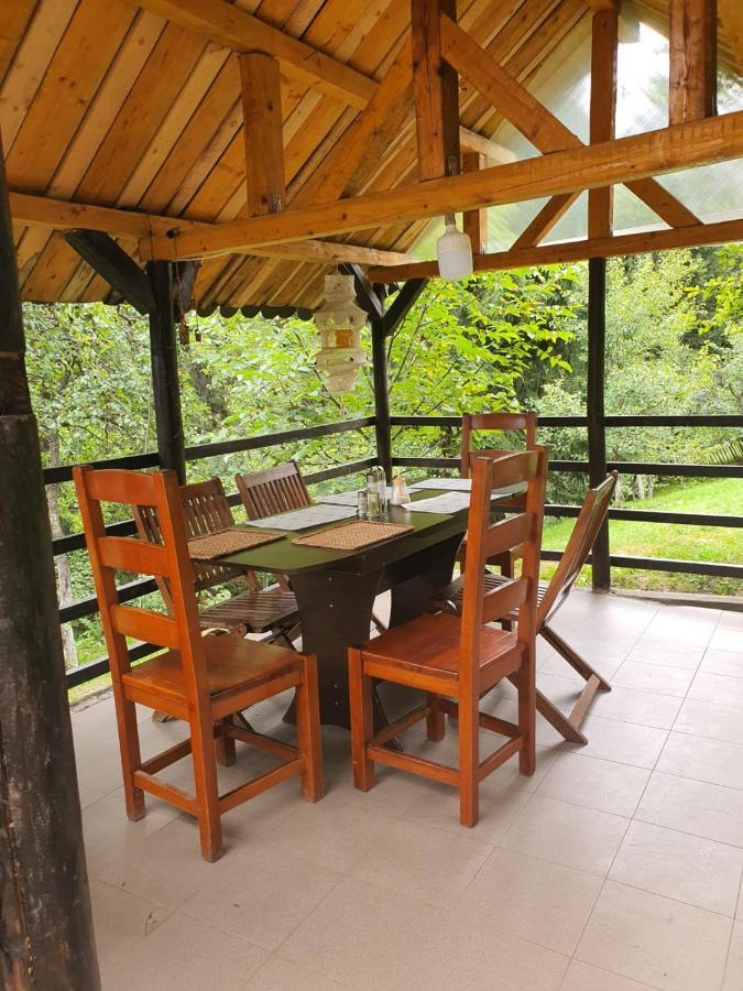 Forest Vibes Spa Cîmpu lui Neag Zewnętrze zdjęcie
