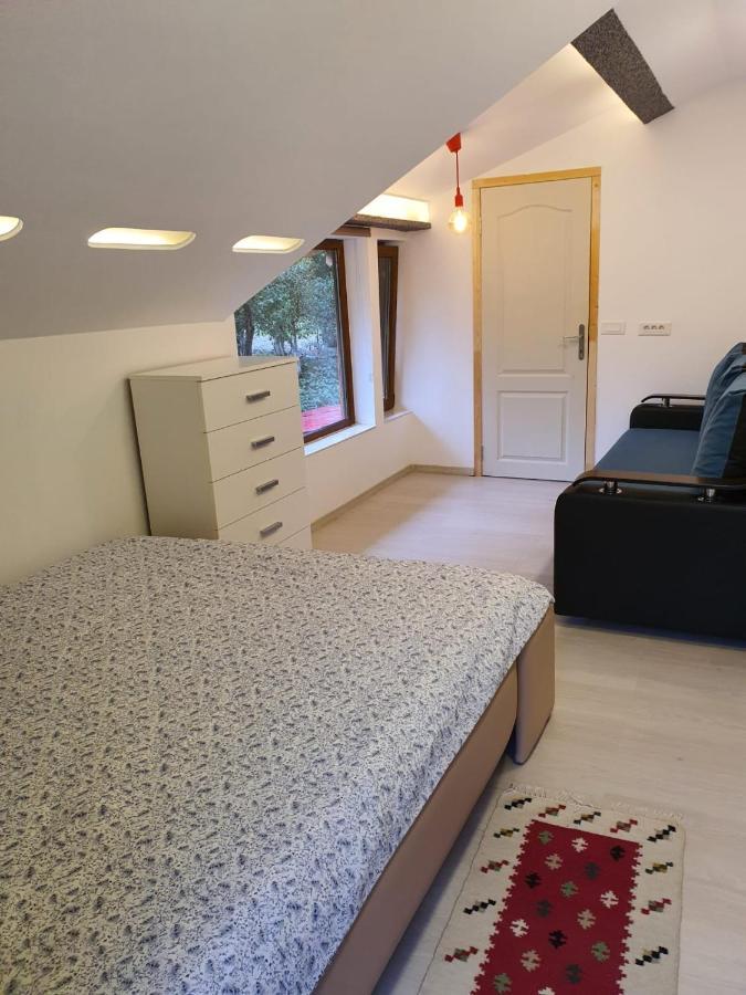 Forest Vibes Spa Cîmpu lui Neag Zewnętrze zdjęcie