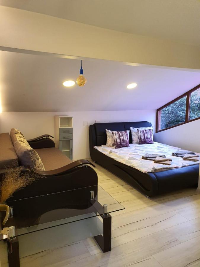 Forest Vibes Spa Cîmpu lui Neag Zewnętrze zdjęcie