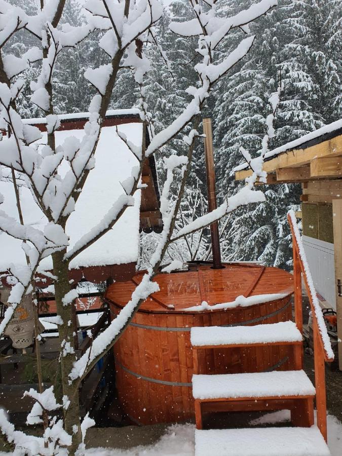 Forest Vibes Spa Cîmpu lui Neag Zewnętrze zdjęcie