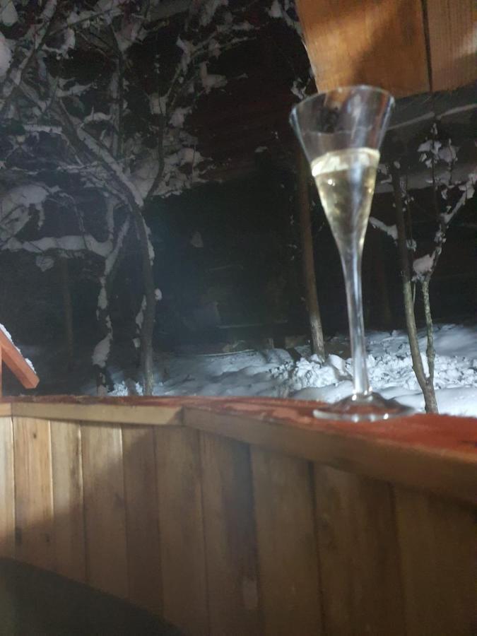 Forest Vibes Spa Cîmpu lui Neag Zewnętrze zdjęcie