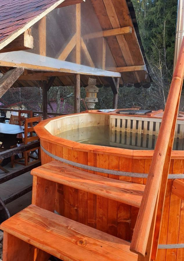 Forest Vibes Spa Cîmpu lui Neag Zewnętrze zdjęcie