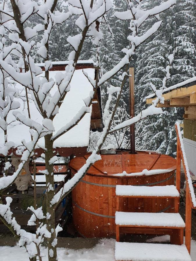 Forest Vibes Spa Cîmpu lui Neag Zewnętrze zdjęcie