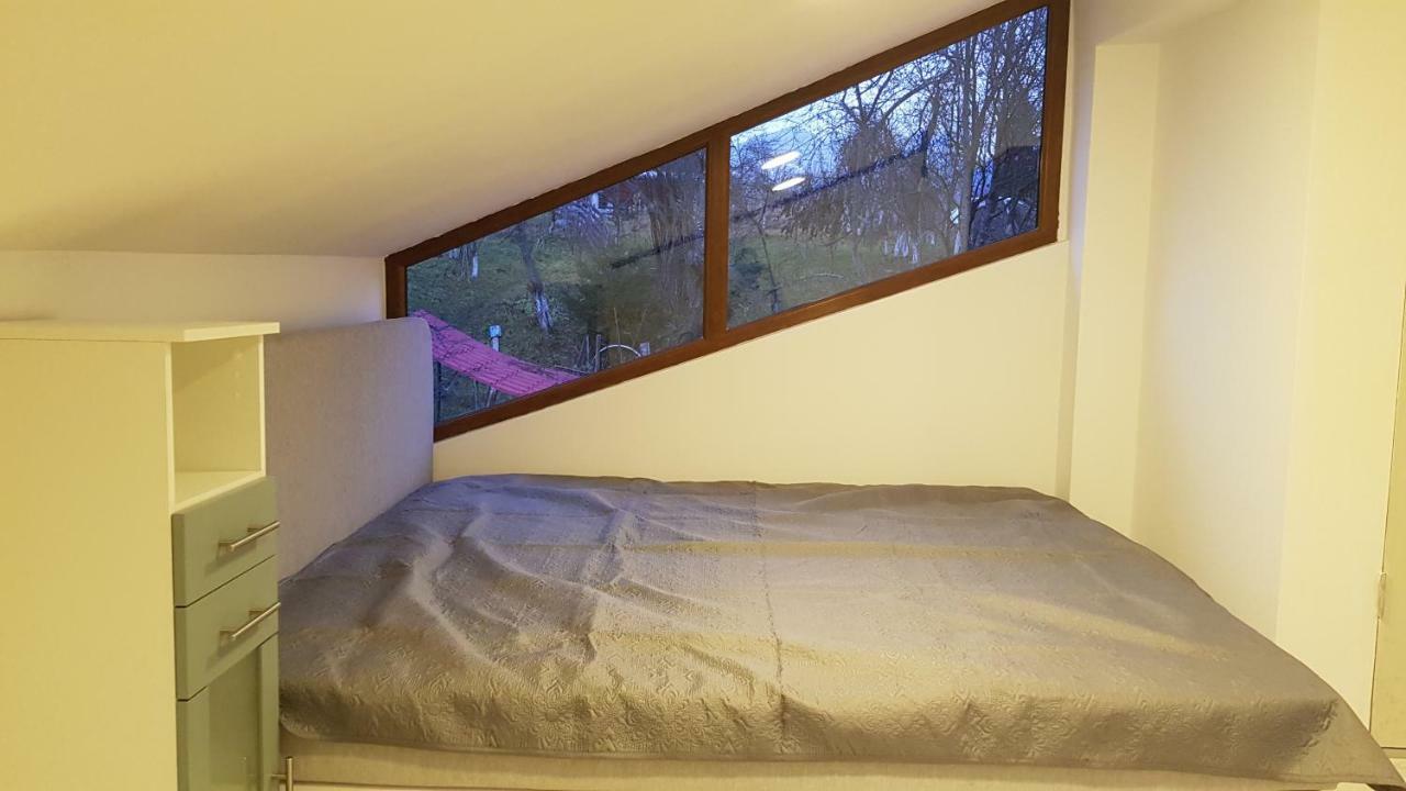 Forest Vibes Spa Cîmpu lui Neag Zewnętrze zdjęcie