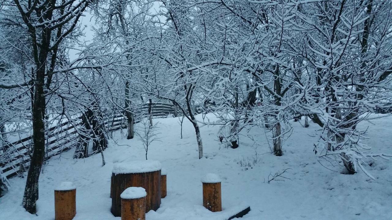 Forest Vibes Spa Cîmpu lui Neag Zewnętrze zdjęcie