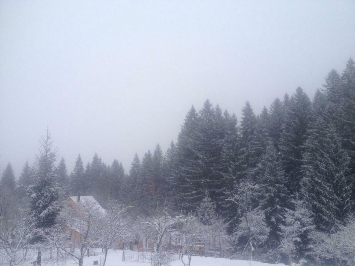 Forest Vibes Spa Cîmpu lui Neag Zewnętrze zdjęcie