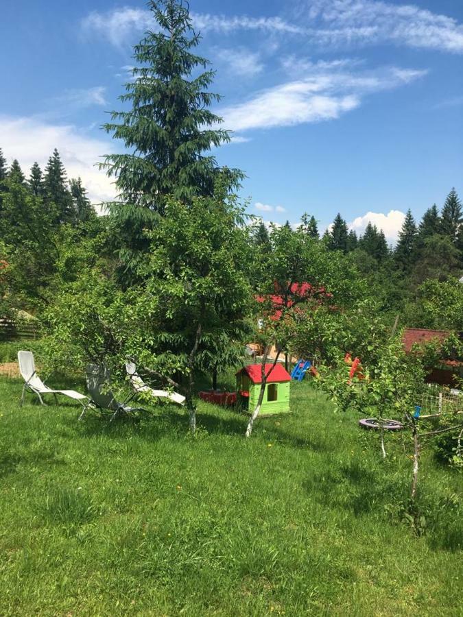 Forest Vibes Spa Cîmpu lui Neag Zewnętrze zdjęcie