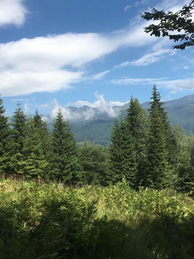 Forest Vibes Spa Cîmpu lui Neag Zewnętrze zdjęcie