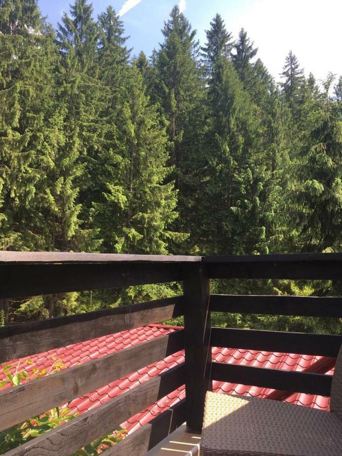 Forest Vibes Spa Cîmpu lui Neag Zewnętrze zdjęcie