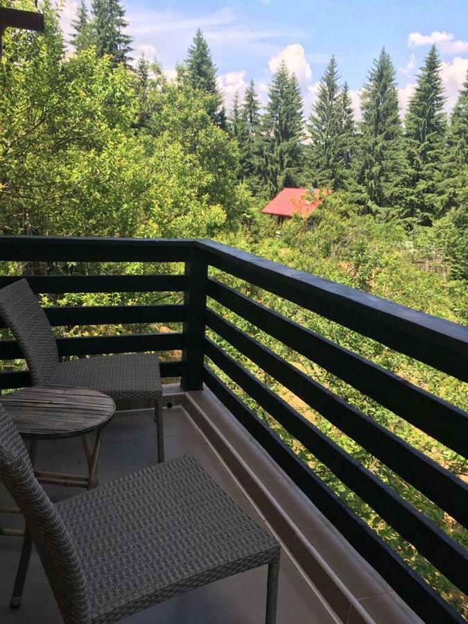 Forest Vibes Spa Cîmpu lui Neag Zewnętrze zdjęcie