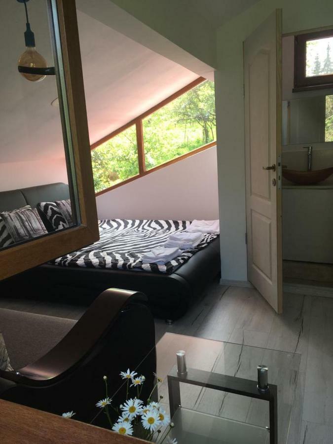 Forest Vibes Spa Cîmpu lui Neag Zewnętrze zdjęcie