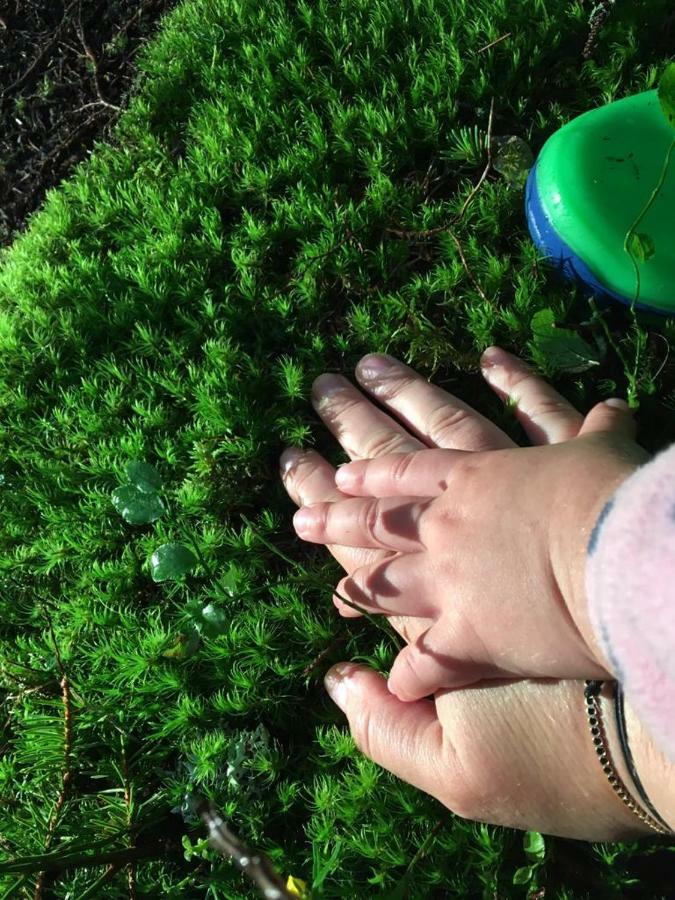 Forest Vibes Spa Cîmpu lui Neag Zewnętrze zdjęcie