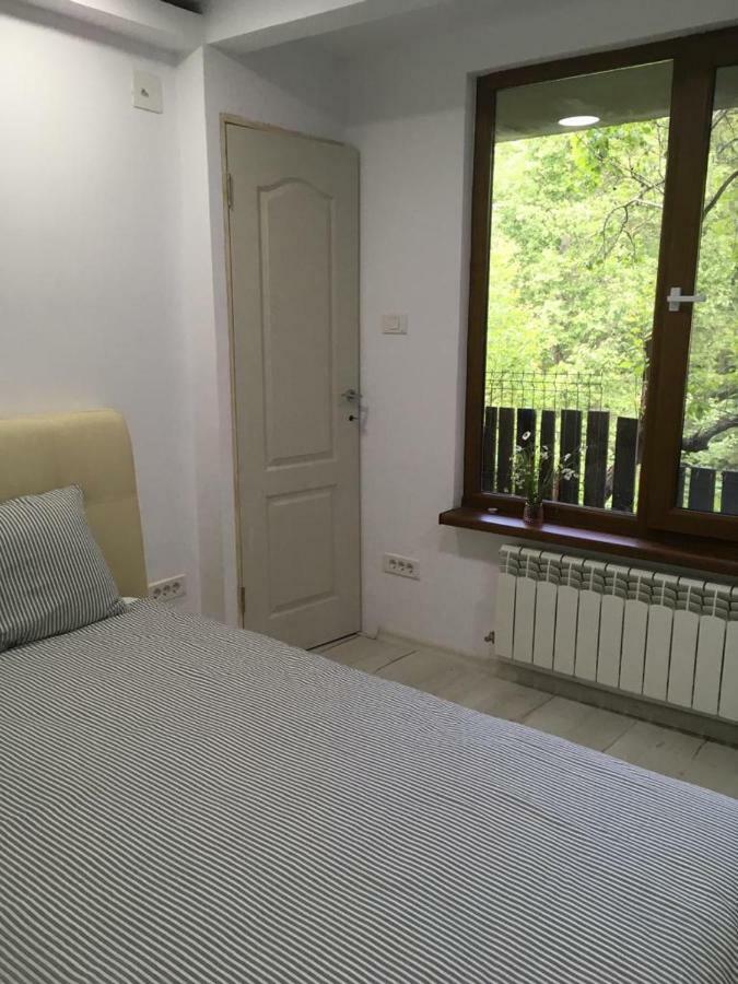 Forest Vibes Spa Cîmpu lui Neag Zewnętrze zdjęcie