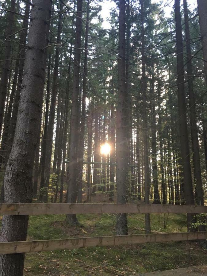 Forest Vibes Spa Cîmpu lui Neag Zewnętrze zdjęcie