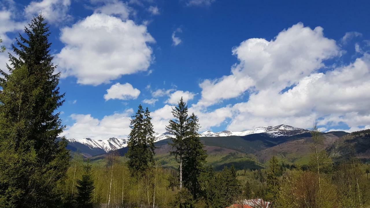 Forest Vibes Spa Cîmpu lui Neag Zewnętrze zdjęcie