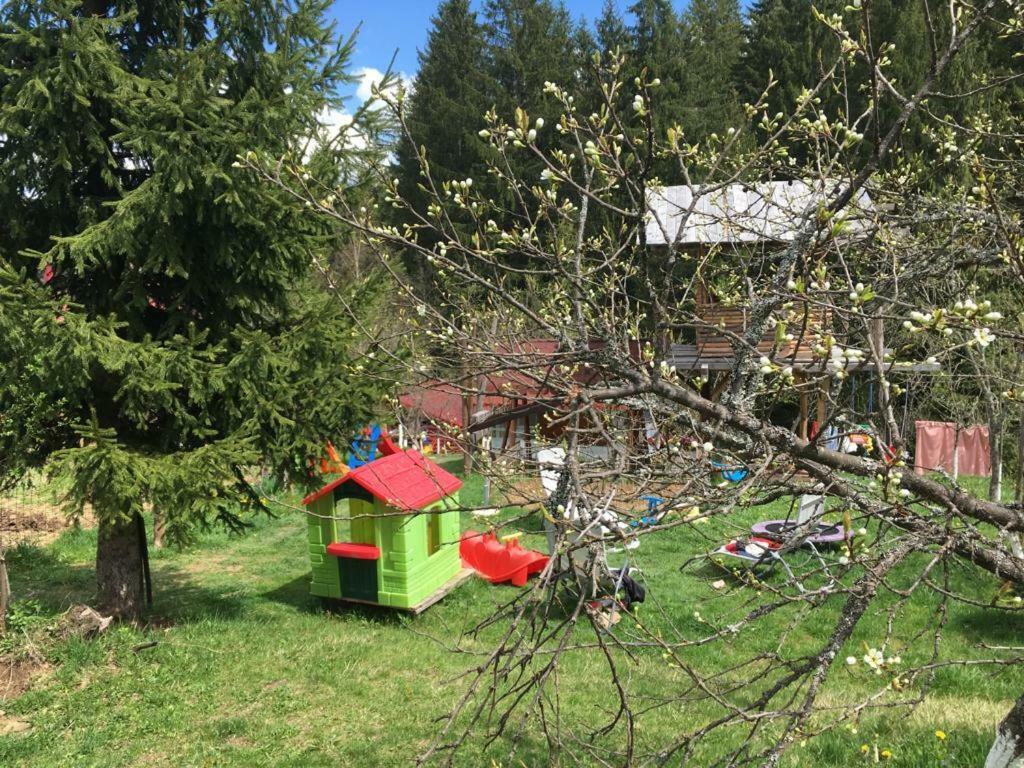 Forest Vibes Spa Cîmpu lui Neag Zewnętrze zdjęcie